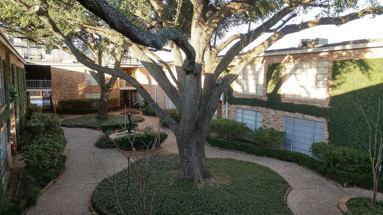 1 bed, 800 sqft, $1,250 — Photo 3