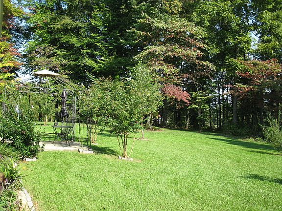 backyard-sprinker system