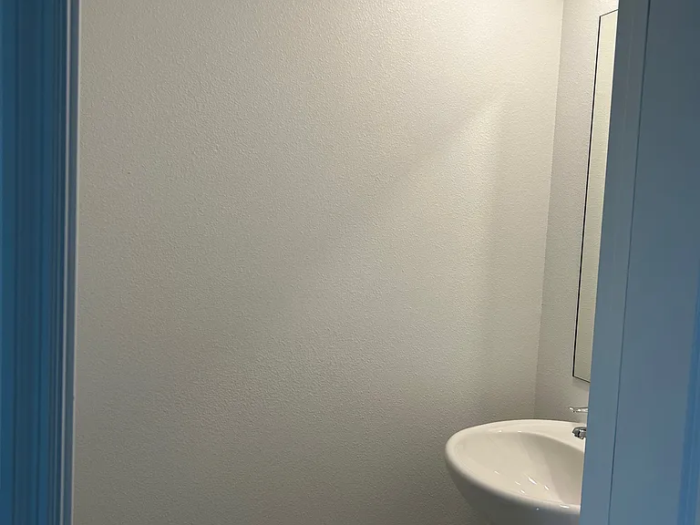 Half bathroom Downstairs