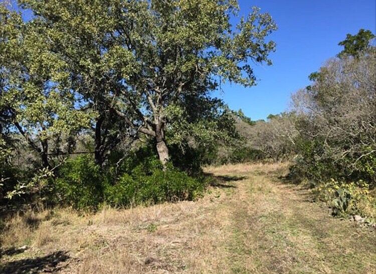 1st image of County Road 473 #Star