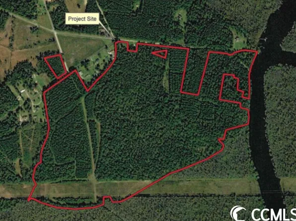 641 Bucksville Dr. #162 acres, Conway, SC 29527