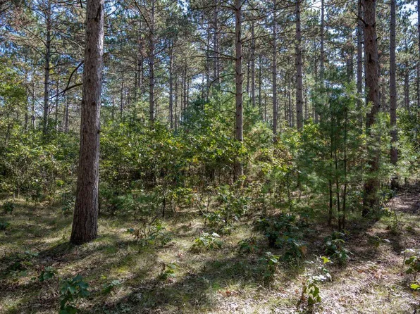 Lot 13 19th Boulevard #13, Friendship, WI 53934