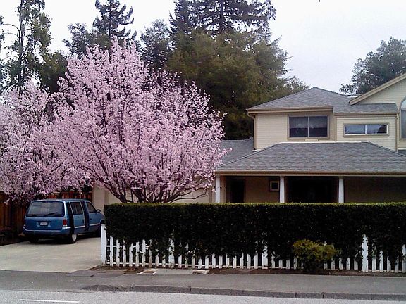 2nd image of 14100 Saratoga Sunnyvale Rd