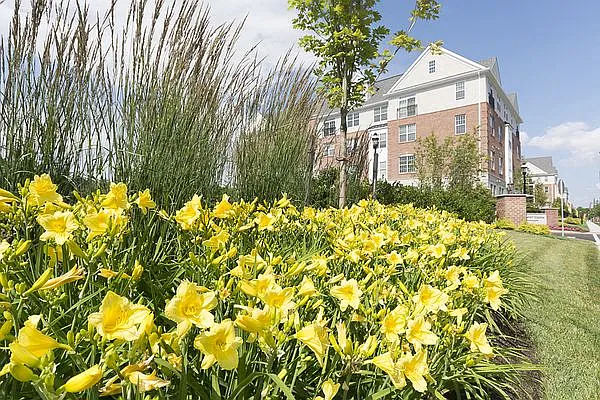 Woodmont Station at Cranford — Photo 31