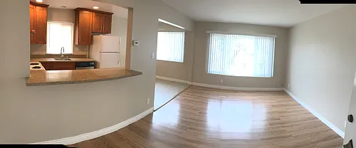 954 Palm Ave #3 Photo 1