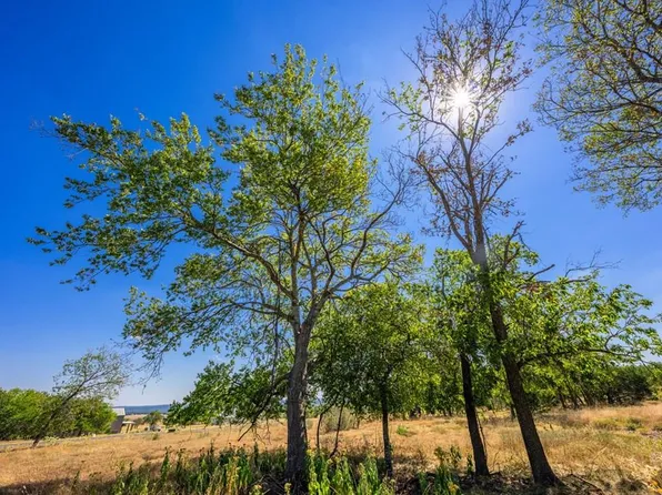 9 The Views Blvd, Fredericksburg, TX 78624