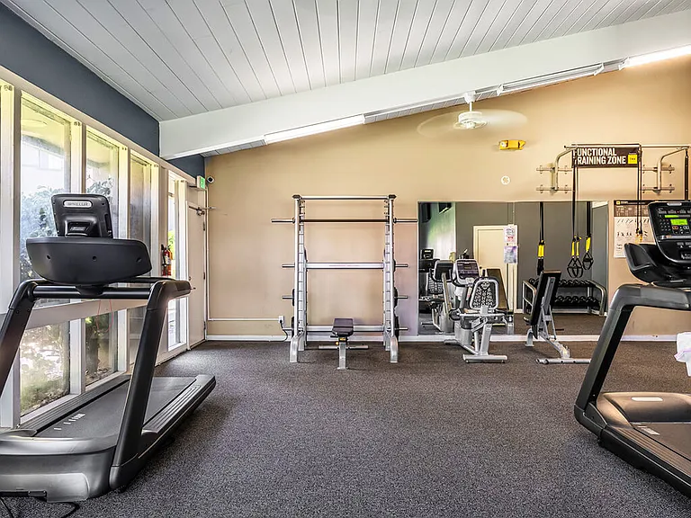 Cardio Machines, Free Weights, and More
