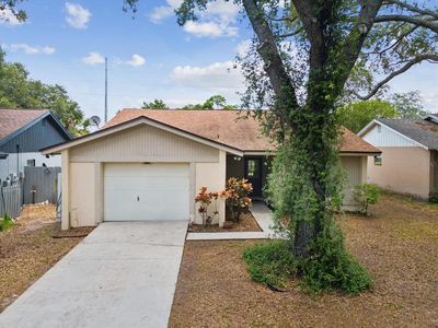 1791 Lakeview Village Dr, Brandon, FL, 33510