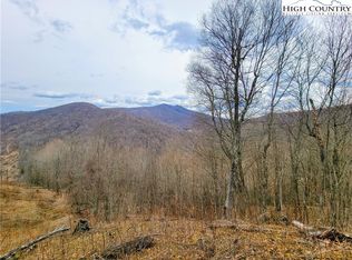 2007 Ben Bolen Rd #D, Creston, NC 28615