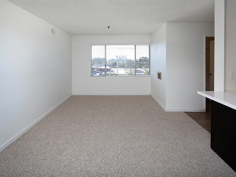 Brookvale Apartments — Photo 3