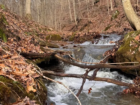 0 Plum Fork Rd, South Shore, KY 41175