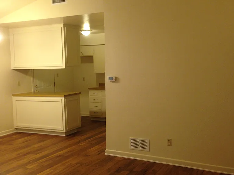 302 S Bridge St #302 — Photo 3