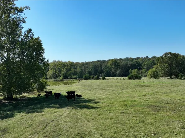 1230 Granny Hollar Rd, Atkins, AR 72823