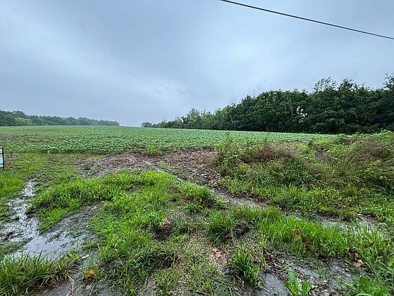 2nd image of /lake Of Egypt Area On Sulphur Springs Ro