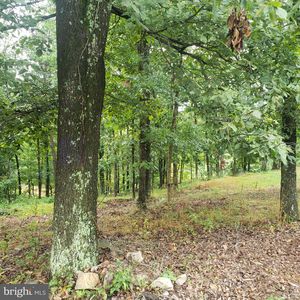 1220 Rio Grande Dr, Delray, WV, 26714