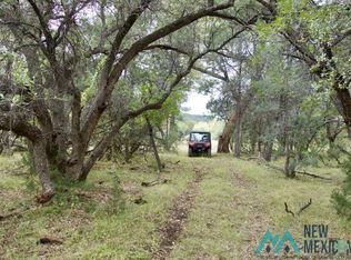 250 Brushy Mountain Rd, Mule Creek, NM 88051