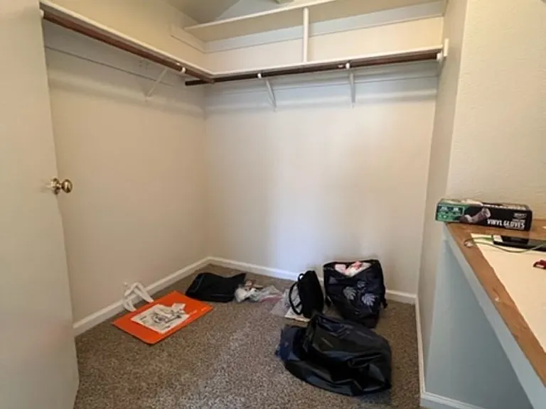 4200 Buckskin Dr — Photo 20