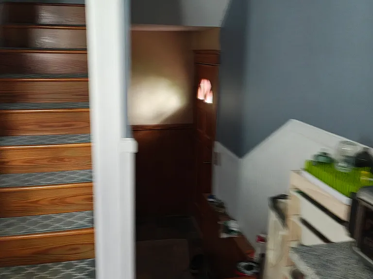29 Roslyn Ave — Photo 63