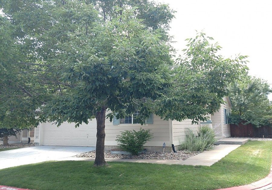 2nd image of 7185 Colorado Creek Grv
