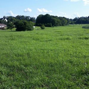1054 Disco Loop Rd LOT 5, Friendsville, TN, 37737
