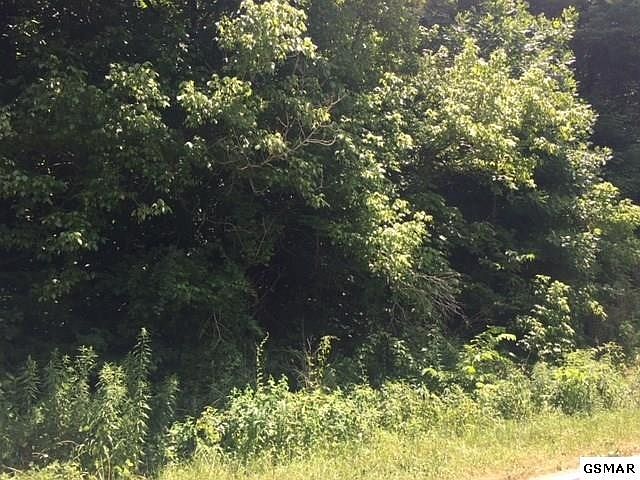 1st image of 6 Dripping Springs Rd Lot 612ACR