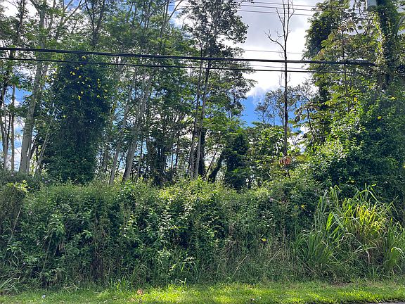 3rd image of Kehau Rd Lot 894