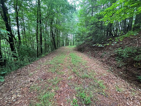 4th image of Lot 11 Horse Camp Drive LOT 11