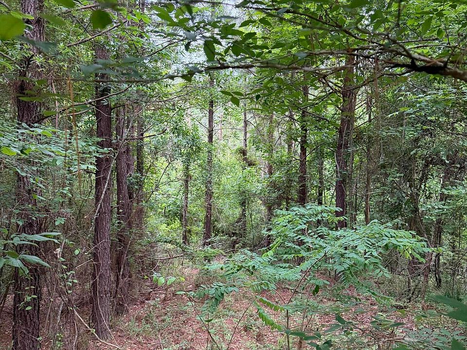 1st image of Hall Rd