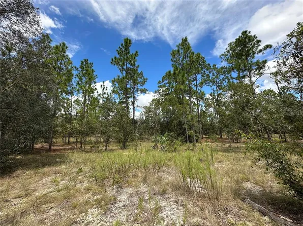 (undisclosed Address), Dunnellon, FL 34431