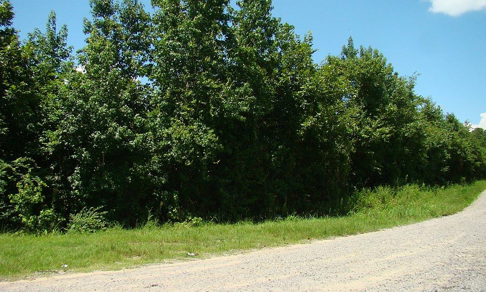 2nd image of 0 State Hwy #6