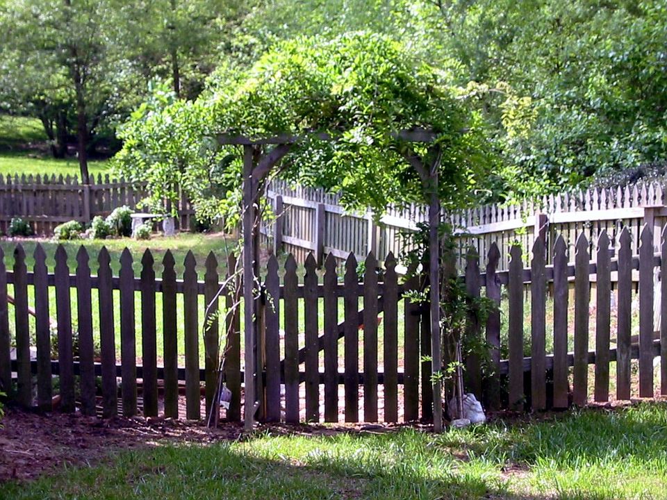 Welcome to my back yard
