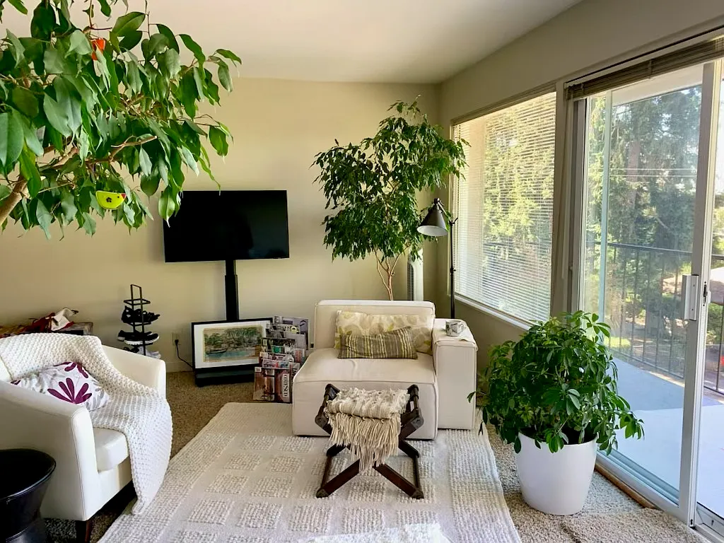 1 bed, 650 sqft, $1,875 — Photo 1