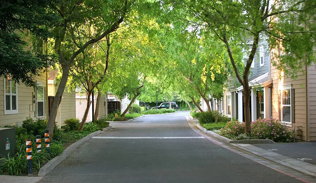 Avalon — Photo 4