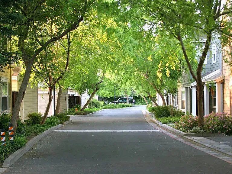 Avalon — Photo 4