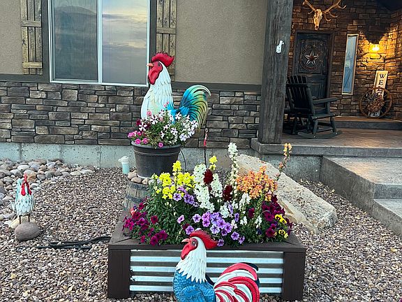 4th image of 10294 N Zero E