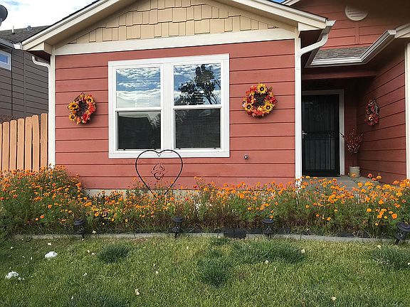 Front with perennials!