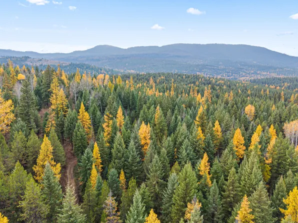 2094 Clugston Onion Creek Rd #Bb, Colville, WA 99114