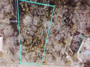 1321 Rue Celeste, Bonne Terre, MO 63628