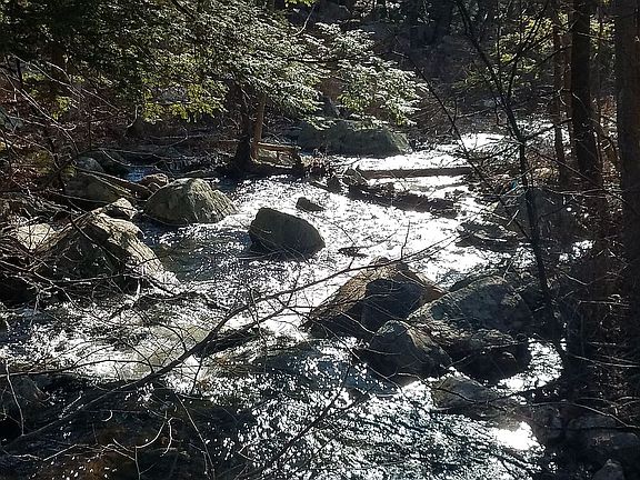 Backyard Fresh Water Stream