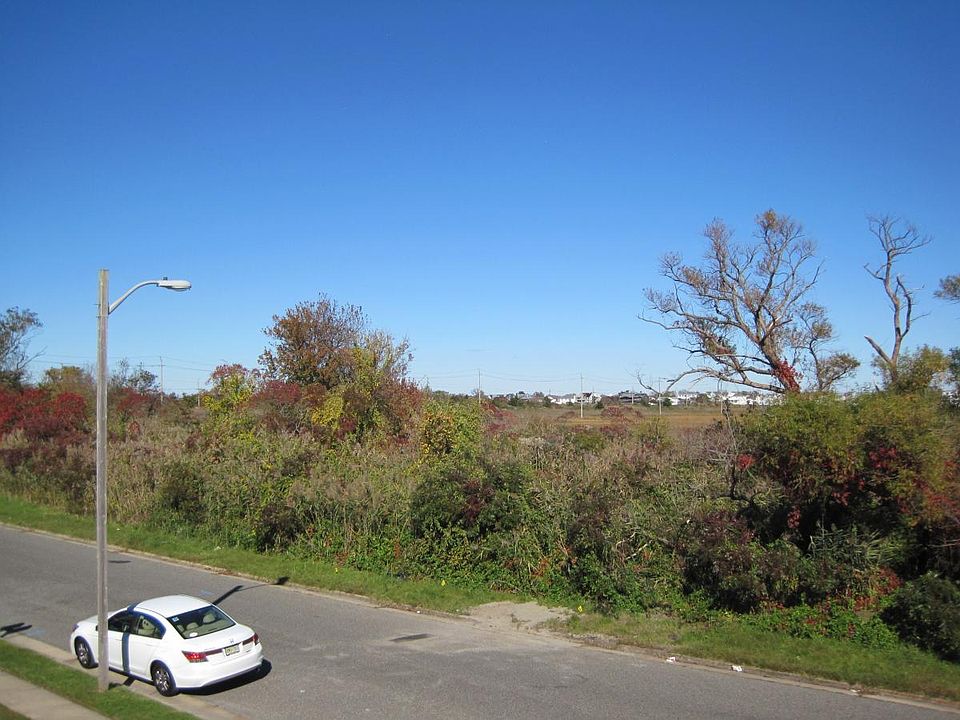 view from the deck