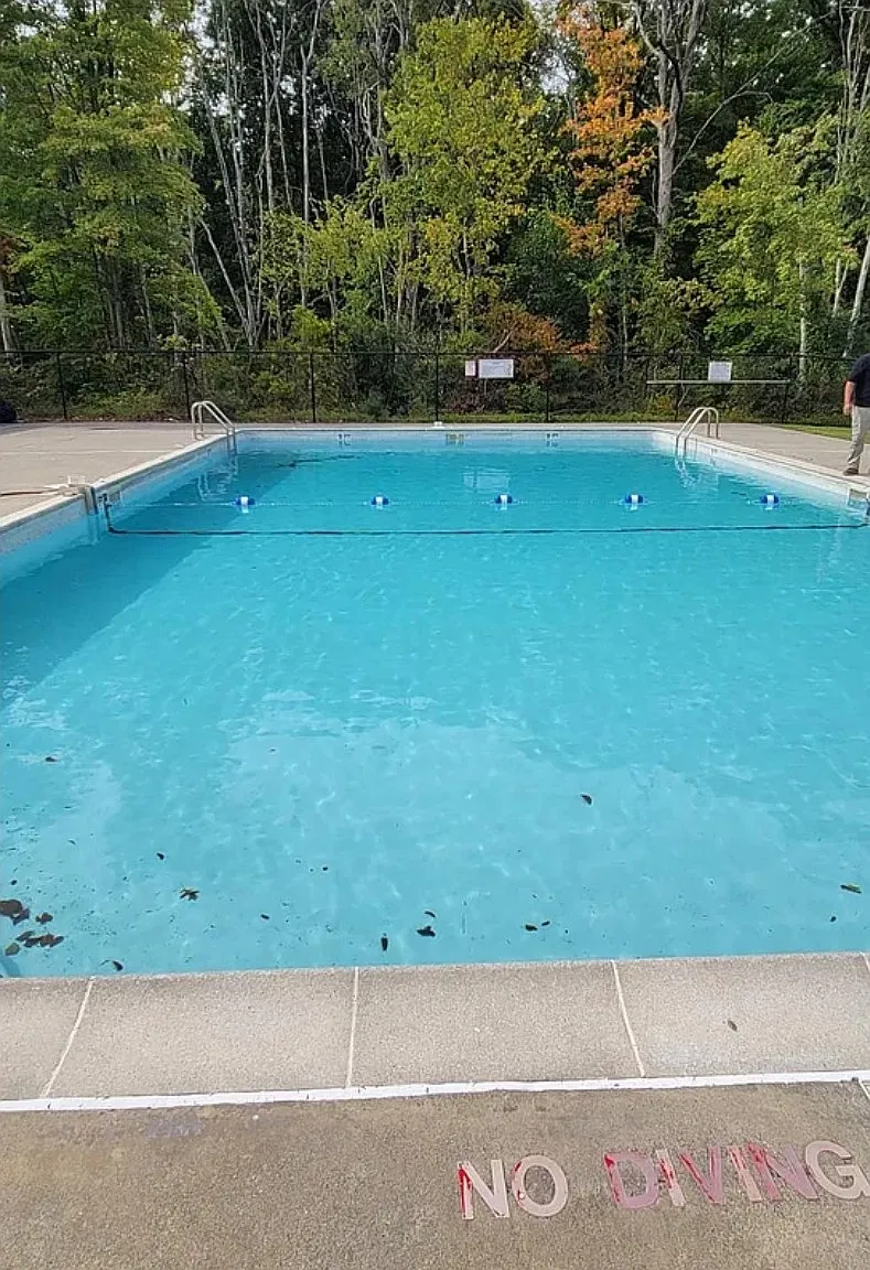 1 bed, 900 sqft, $1,950 — Photo 4
