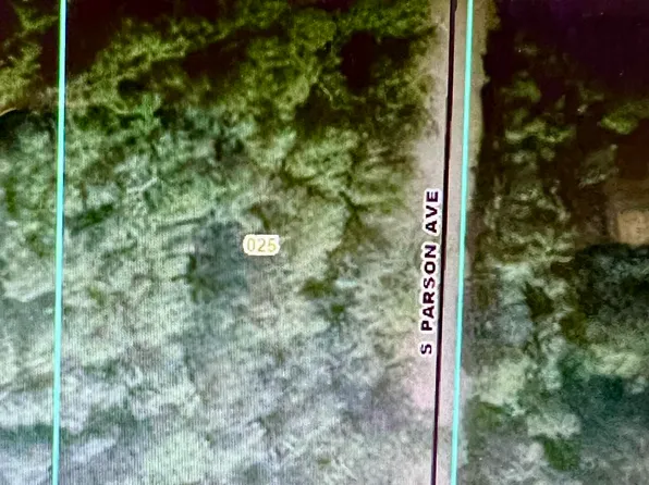 2203 S Parsons Ave, Fremont, MI 49412