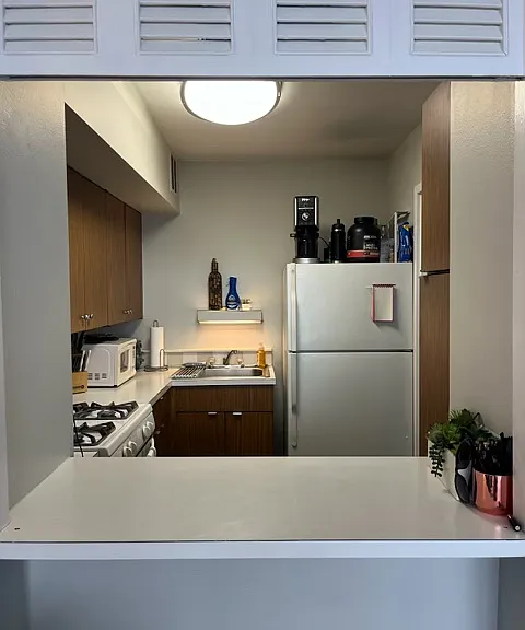 2800 N Lakeshore Dr #3511 — Photo 9