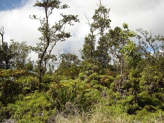 2nd image of Alaula St Lot 551