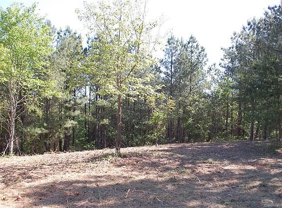 4th image of Moore Mountain Ln Lot 10