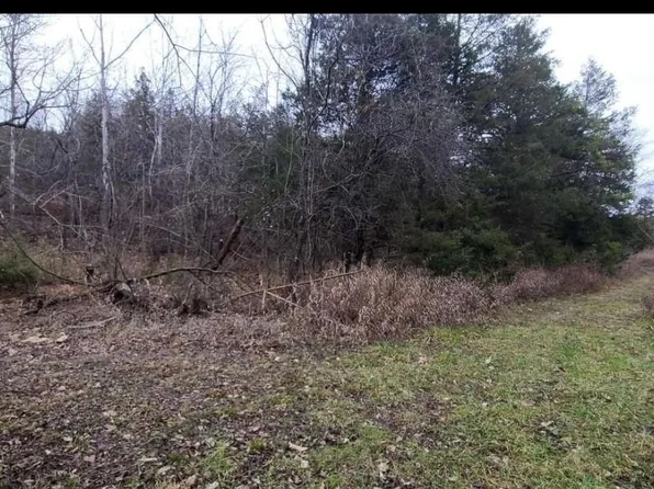 001-01616-000 Russ Rd, Norfork, AR 72658