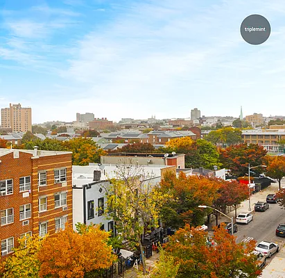 Rented by Triplemint | media 16