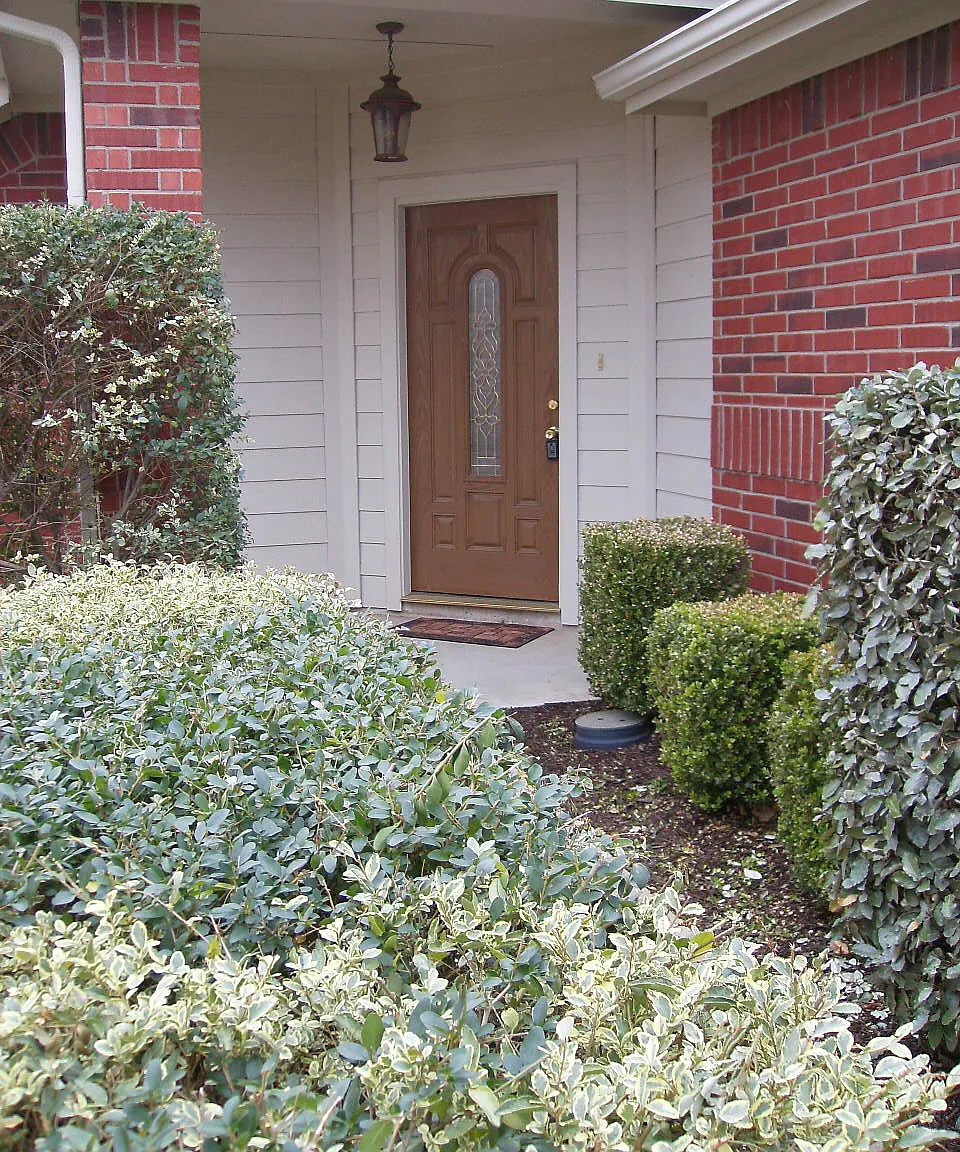 3 bed, 1408 sqft, $1,950 — Photo 2
