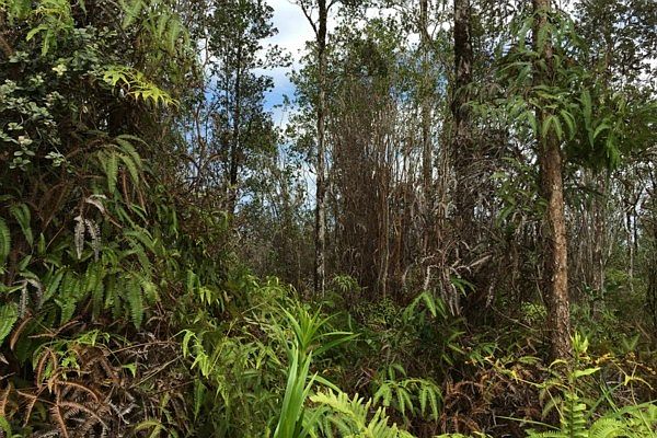 1st image of Road 3 Hopue Lot 3286