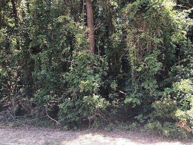2nd image of Saint Peters Ln